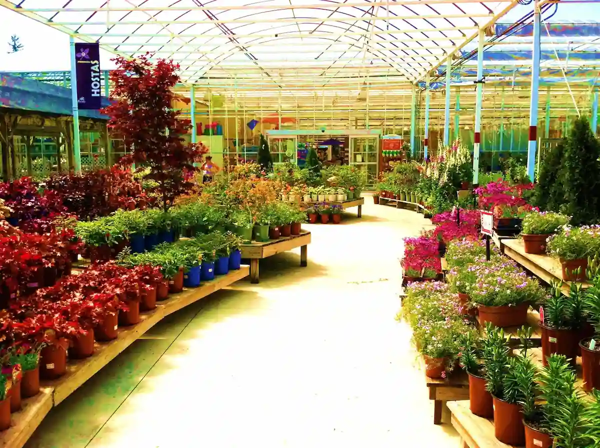 12 Pretty Places in Ohio to Take Pictures-Award-Winning Spots 11 A brightly lit greenhouse filled with a variety of plants and flowers. Shelves are lined with potted plants in various sizes and colors. A sign above one of the shelves indicates that hostas are available. Customers can be seen browsing the aisles.