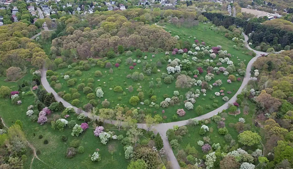 14 Free Romantic Things to Do in Massachusetts for Couples 8 Arnold Arboretum