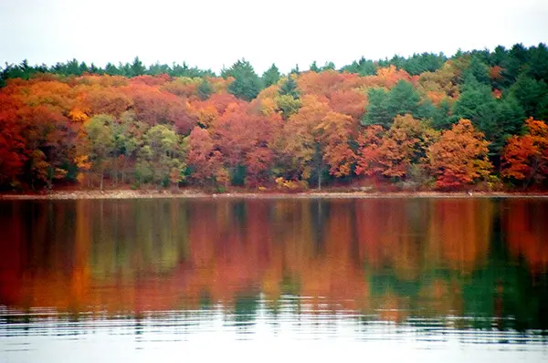 14 Free Romantic Things to Do in Massachusetts for Couples 3 Walden Pond