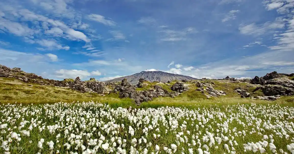 Snaefellsnes Peninsula Iceland for First-Timers: A Complete Travel Guide 6 Snaefellsjokull National Park