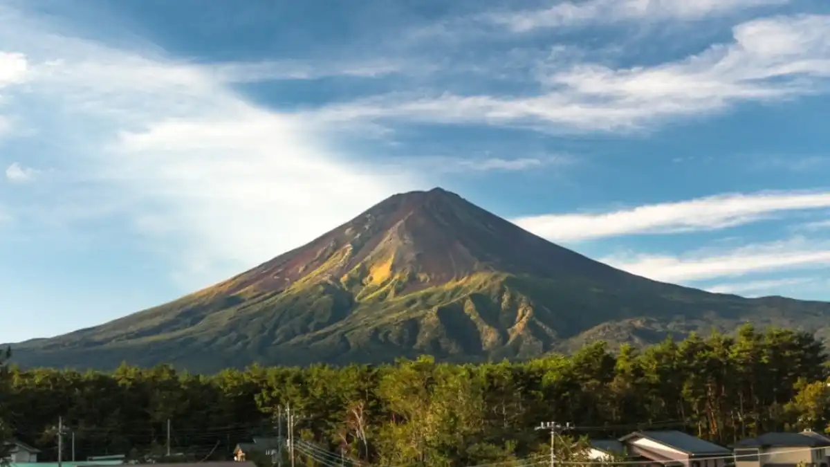 Mount Fuji from Tokyo: Ultimate 2025 Day Trip Guide for Yanks 4 mount fuji summer 1