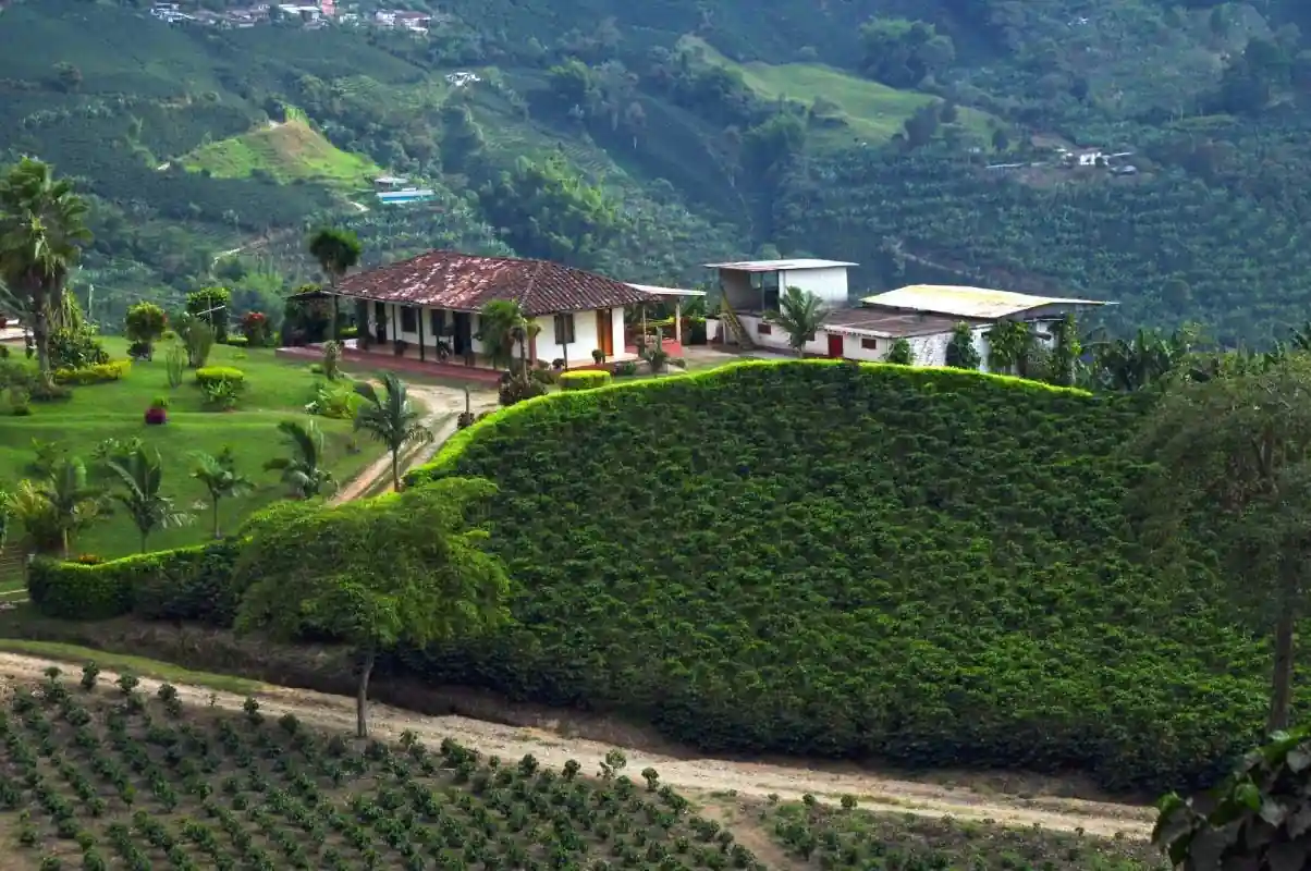 Zona Cafetera Colombia: The Ultimate Travel Guide 6 Best Things to Do in Zona Cafetera 1