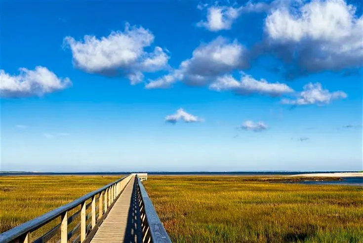 Gray’s Beach Cape Cod: The Ultimate Guide 4 Grays Beach Cape Cod 1