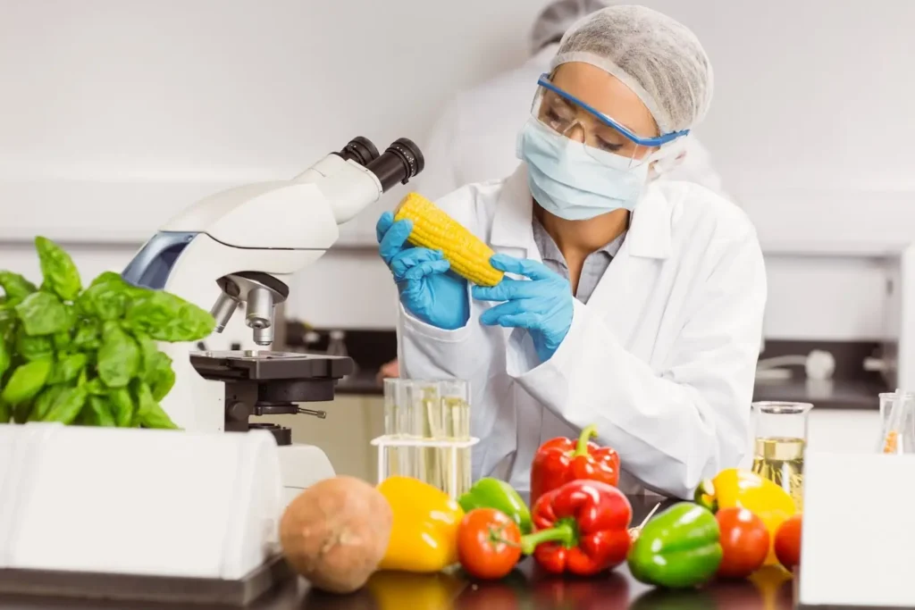 Health Hygiene Food Safety in Casablanca