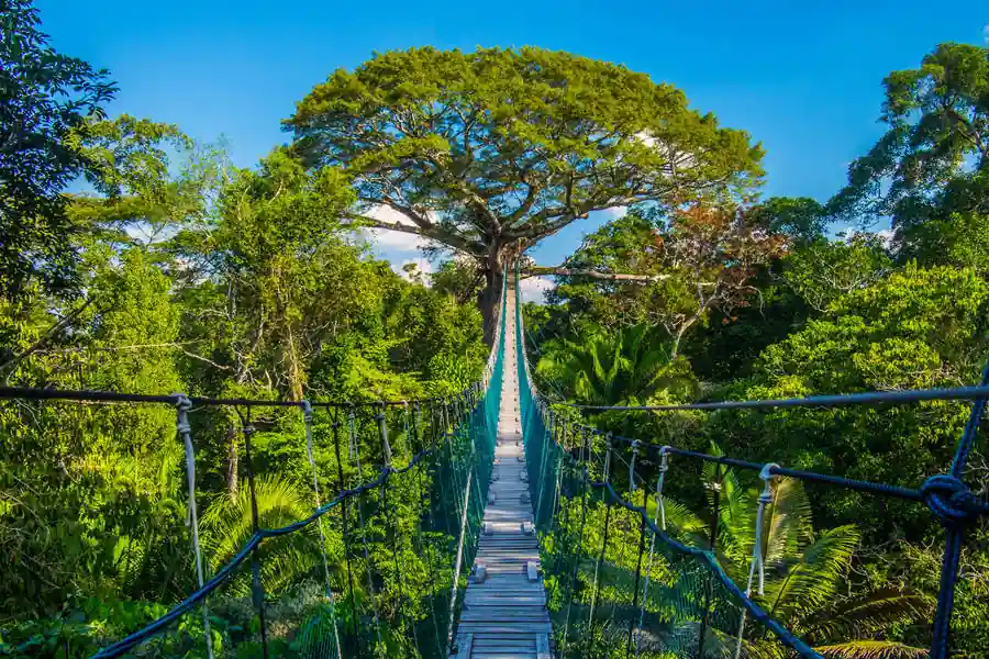 7 Best Adventures in Peru for Families on a Budget 10 Puerto Maldonado