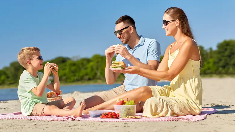 Gray’s Beach Cape Cod: The Ultimate Guide 6 Relax and Picnic by the Shore