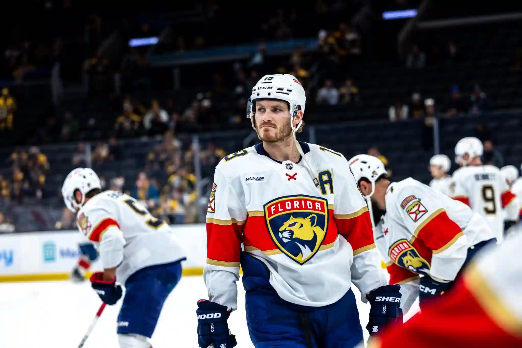 Planning Florida Panthers Travel Packages: An Ultimate Guide 2 Understanding Florida Panthers Travel Packages
