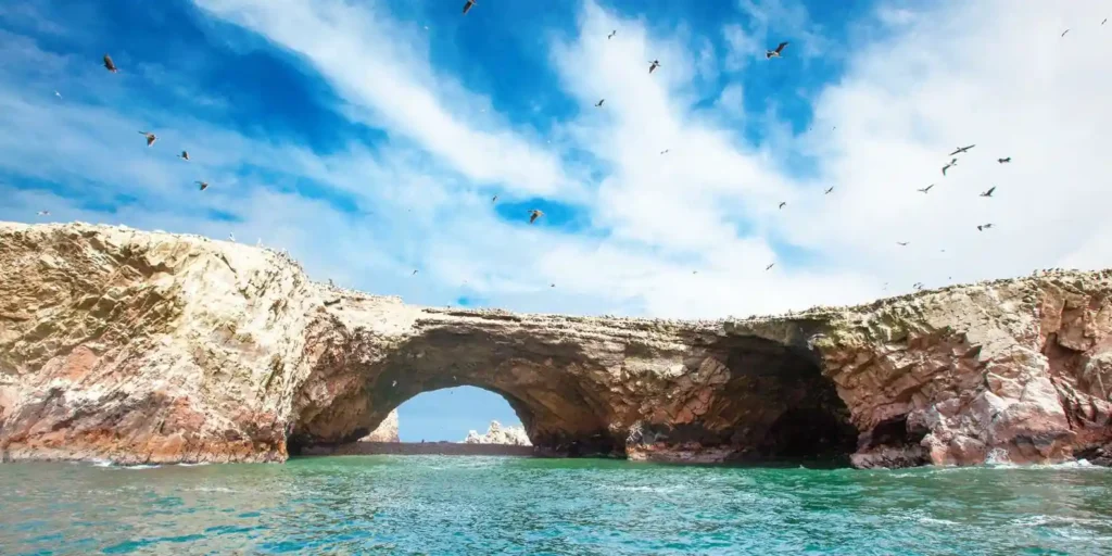 7 Best Adventures in Peru for Families on a Budget 14 Wildlife Spotting in Paracas and the Ballestas Islands