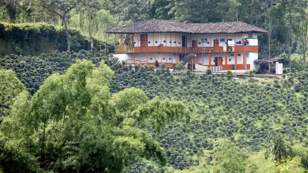 Zona Cafetera Colombia: The Ultimate Travel Guide 11 Zona Cafetera 1