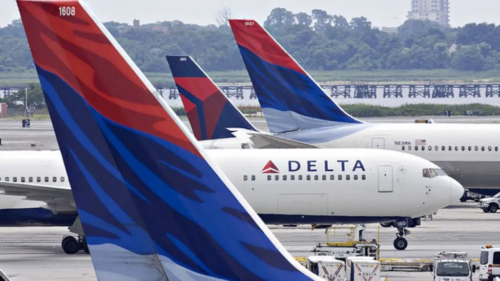 Delta Flight Dog Diversion MSP: What Caused the Emergency Landing? 3 Flight Details
