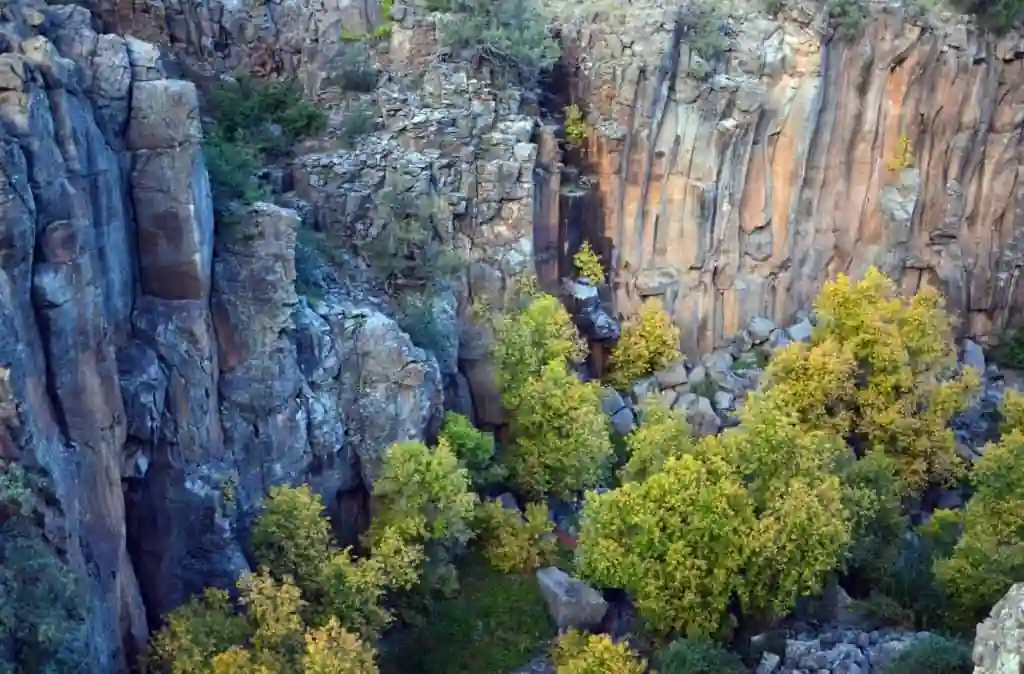 Flora of Kaibab National Forest