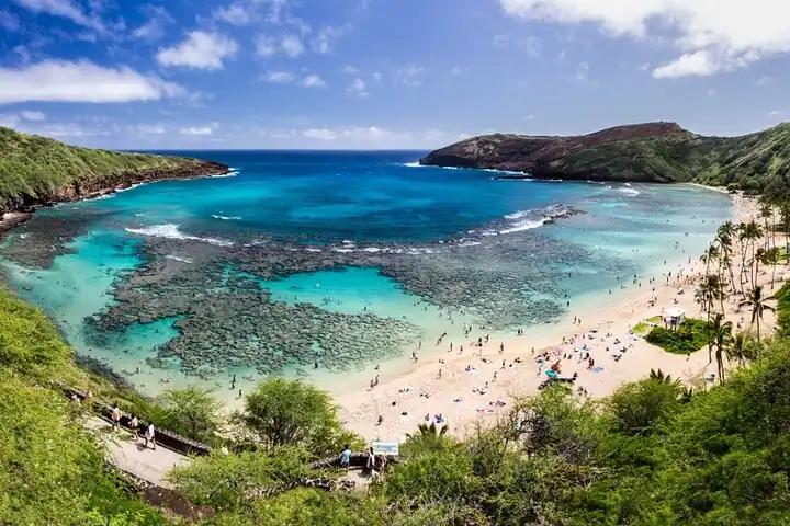 12 Unreal Places With Clearest Ocean Water in the World 10 Hanauma Bay Oahu Hawaii