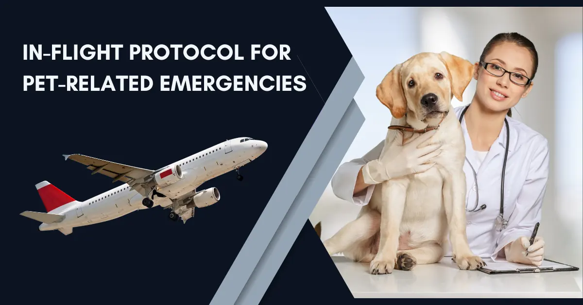 Delta Flight Dog Diversion MSP: What Caused the Emergency Landing? 8 In Flight Protocol for Pet Related Emergencies