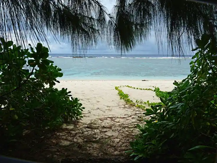 What Are Two Tourist Destinations in Guam You Shouldn’t Miss? 11 Ritidian Point Beach and Wildlife Refuge
