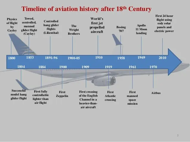 Delta Flight Dog Diversion MSP: What Caused the Emergency Landing? 4 Timeline of Events