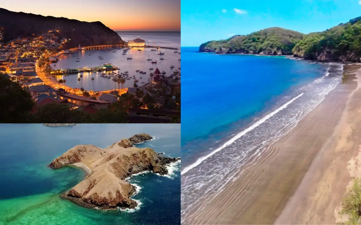 Whale Shark Guanacaste Costa Rica: Read This Guide Before You Go 5 Tours for Whale Shark Spotting in Guanacaste