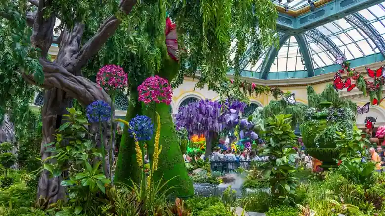 Bellagio Conservatory Botanical Gardens