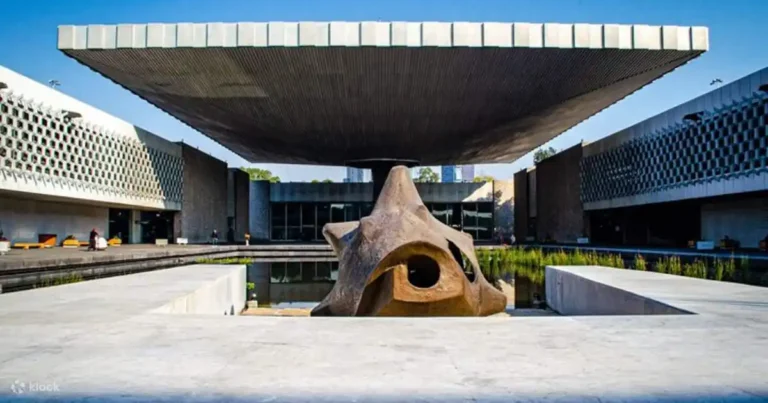 18+ Best Museums in Mexico City That Locals Actually Recommend