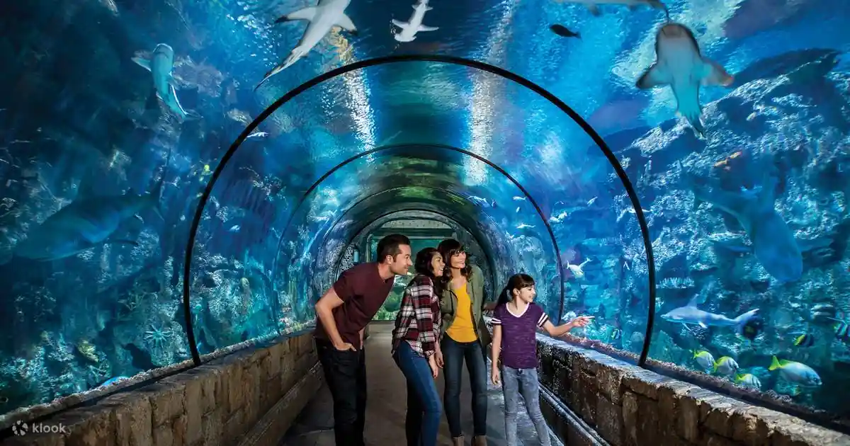 Shark Reef Aquarium at Mandalay Bay