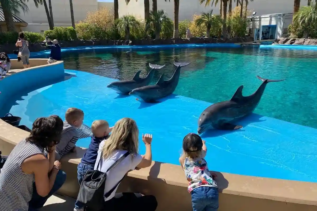 Siegfried Roys Secret Garden and Dolphin Habitat if operational