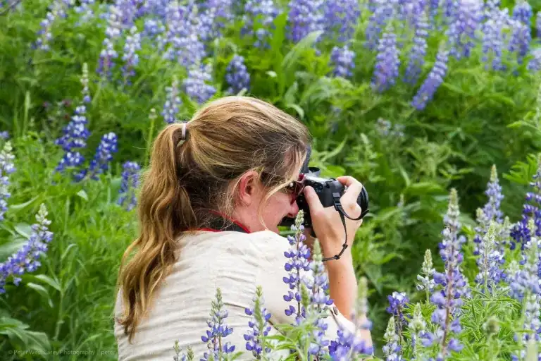 Is Traveling a Hobby in 2025? 7 Surprising Reasons Why It Is 10 photography or gardening