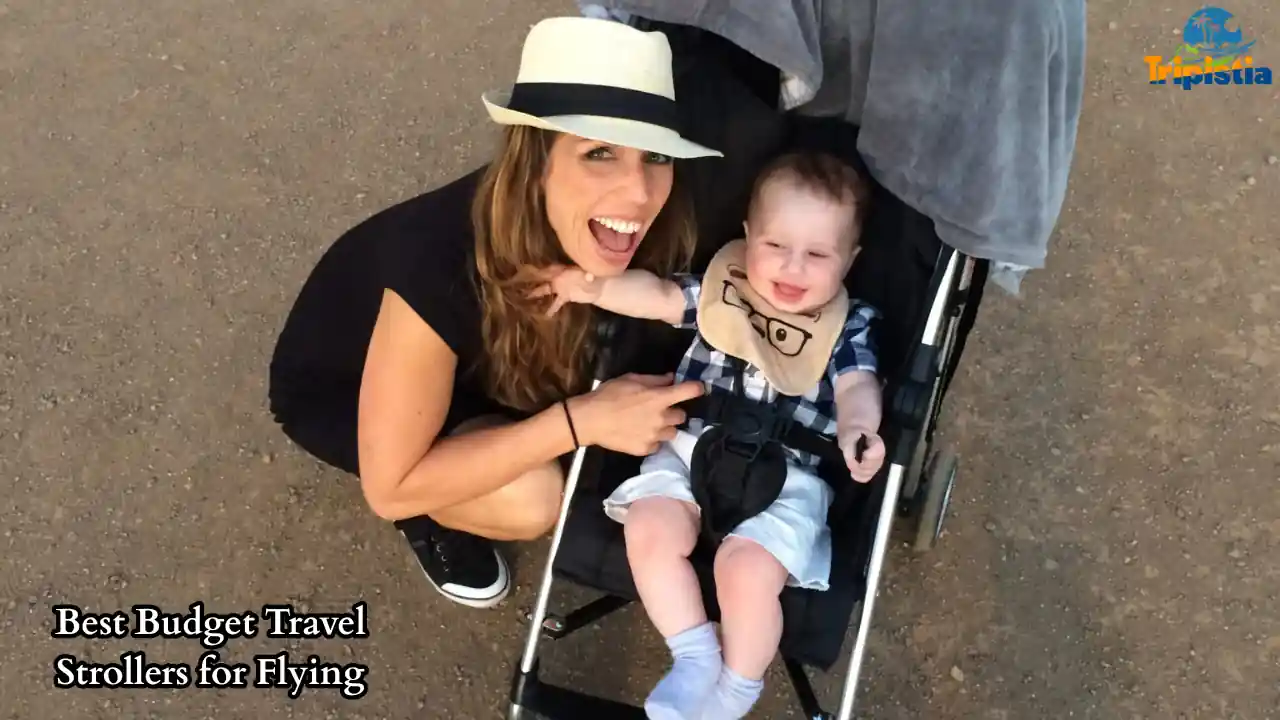 Best Budget Travel Strollers for Flying
