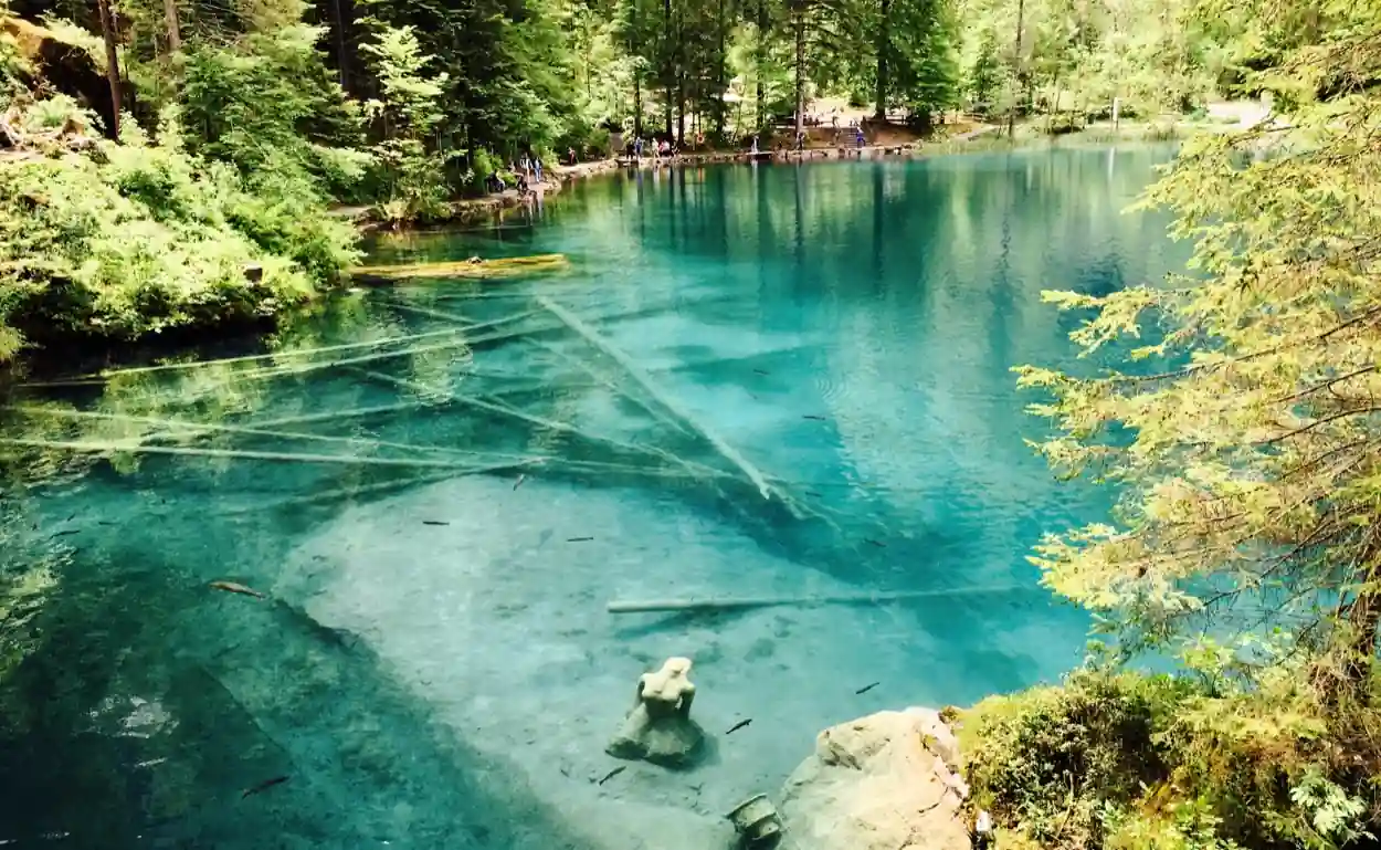 Explore the Blue Lake Blausee
