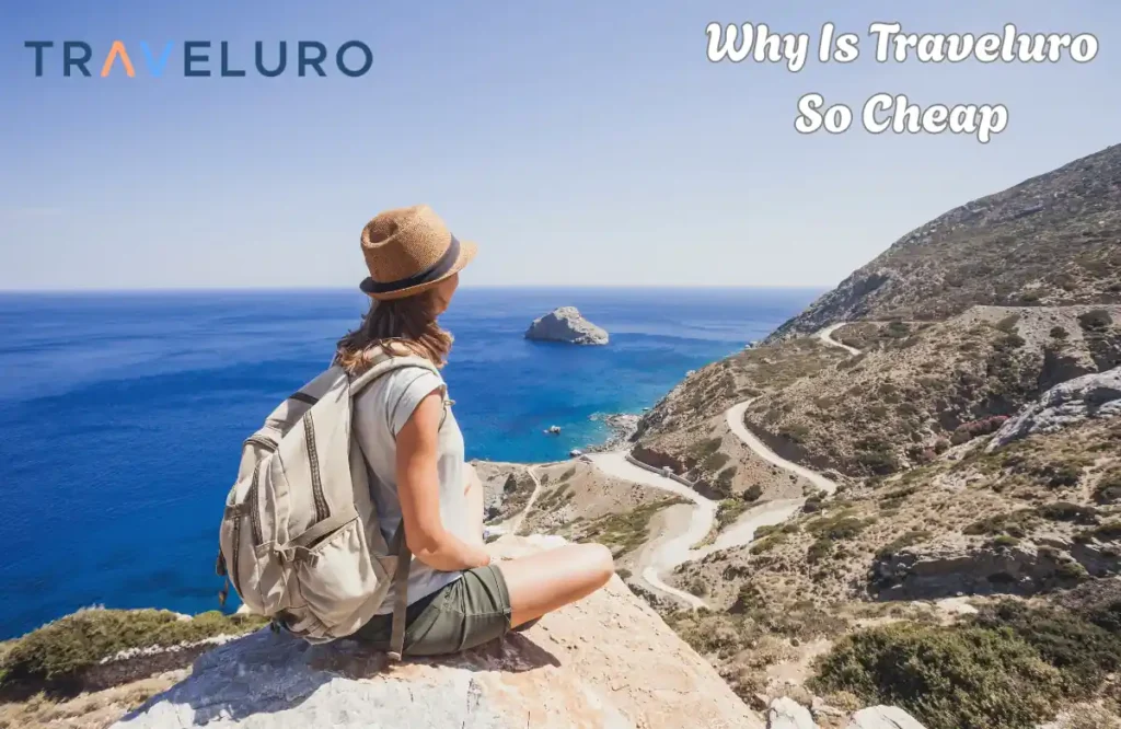 Is Traveluro Legit? 2025 Data, Risks, and Alternatives Guide 3 Why Is Traveluro So Cheap