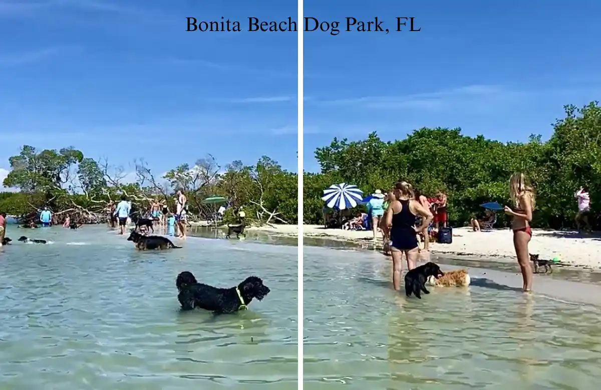 Bonita Beach Dog Park FL