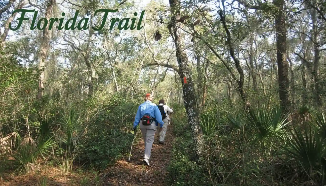 Florida Trail