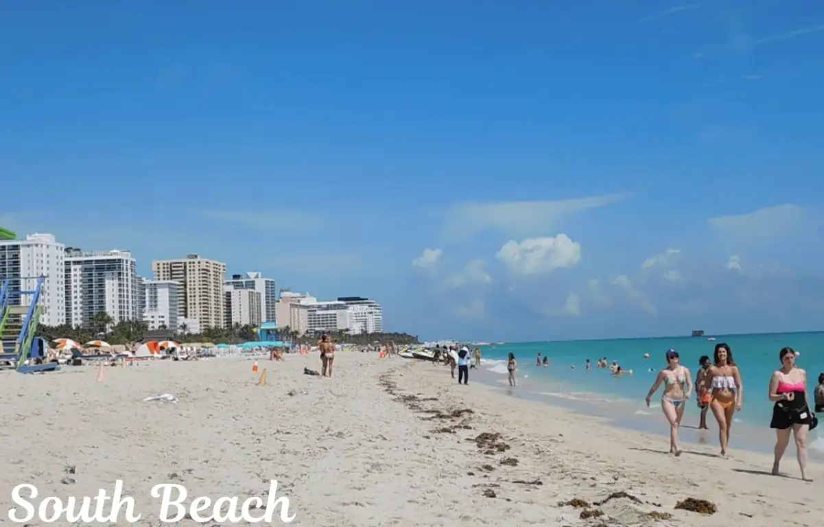 Florida Travel Guide 2026: Top Cities, Beaches & Food Picks 9 South Beach