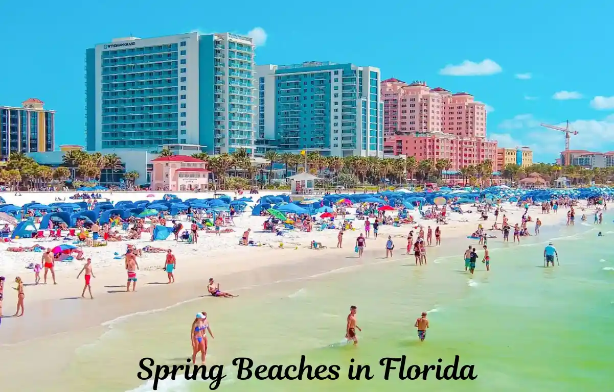 Spring Beaches in Florida