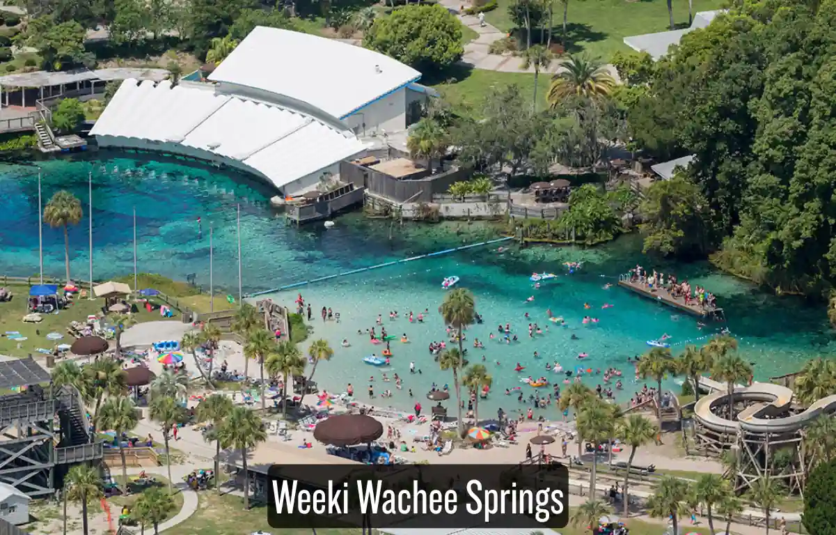 15 Cheapest Places to Visit in Florida in 2026, Ranked by Cost 6 Weeki Wachee Springs